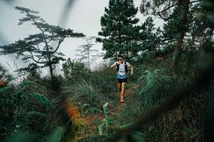 BIB: 
                            <button type="button" onclick="openModal(25258855)" class="btn btn-primary btn-sm float-right btn-popup" data-toggle="modal" data-target=".modal-high-quality">
                        <i class="fas fa-shopping-cart"></i> Add to Cart
                    </button>
                                            <button type="button" onclick="isThisMe(25258855, true)" class="btn btn-success btn-sm float-right btn-popup btn-isme hidden" data-toggle="tooltip" data-placement="bottom" title="นี่คือรูปของคุณใช่ไหม คลิกที่นี่เพื่อเอาเข้าอัลบั้ม">
                        <i class="fas fa-plus"></i> Add to album
                    </button>
                    <button type="button" onclick="isThisMe(25258855, false)" class="btn btn-warning btn-sm float-right btn-popup btn-isnotme hidden">
                        <i class="fas fa-ban"></i> Remove from album
                    </button>